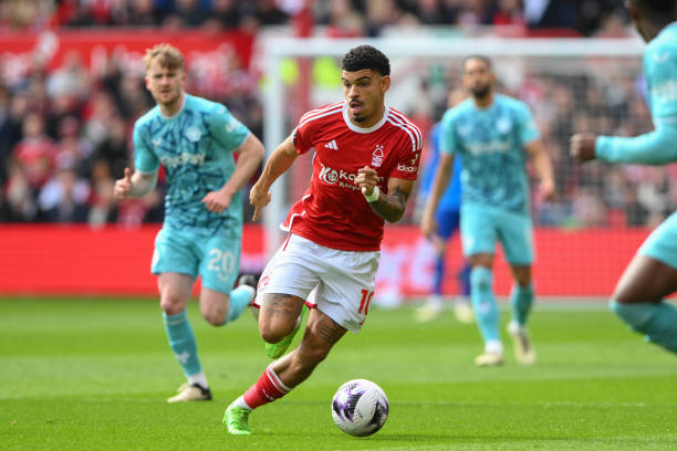 迷带来了顶 迷带来了顶